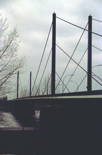 テオドール　ホイス橋(Theodor Heuss Br)