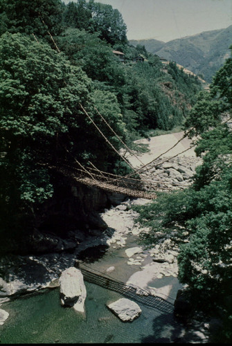 祖谷かづら橋
